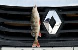 Renault Winter Fishing
